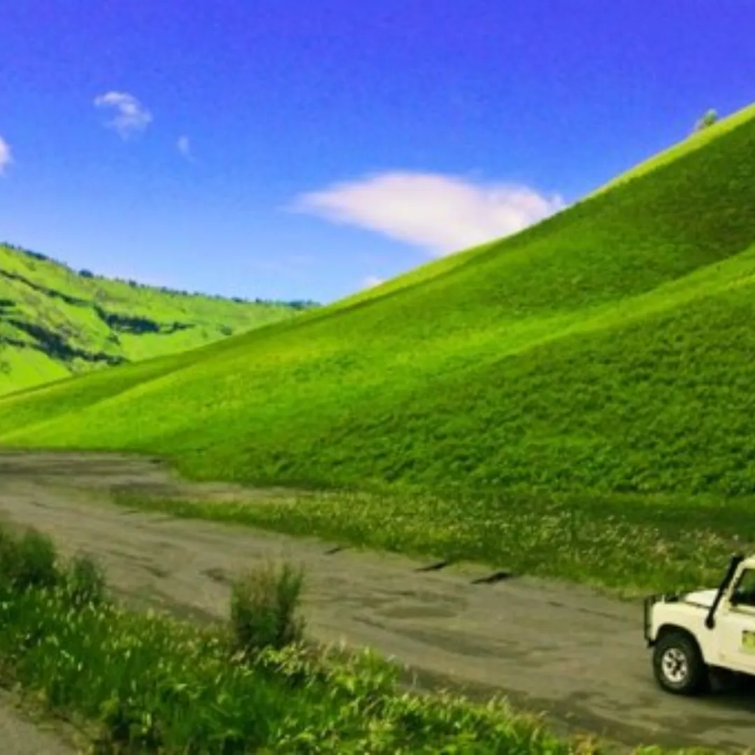 savana bromo
